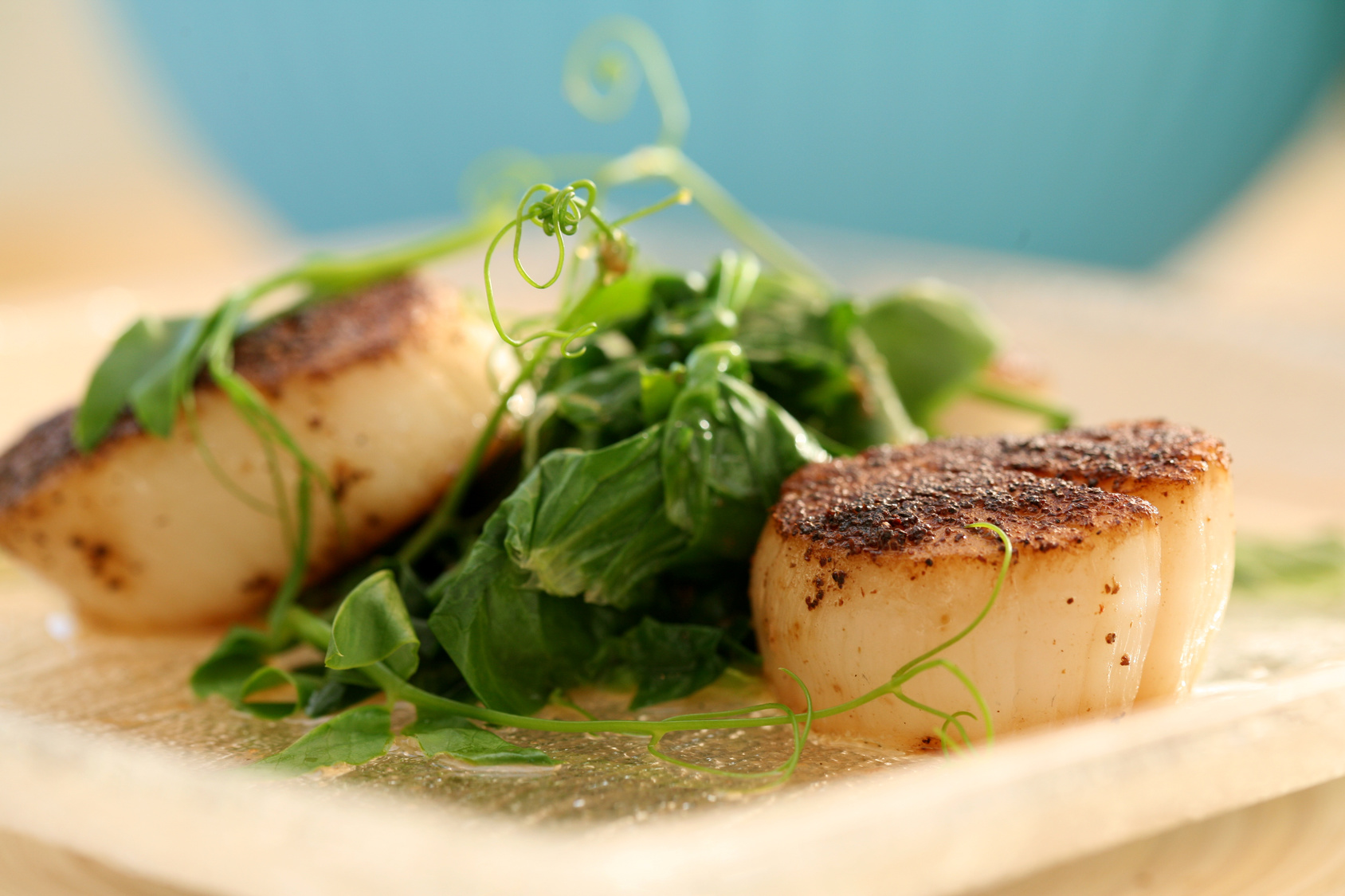 Seared Scallops and sauteed pea shoots